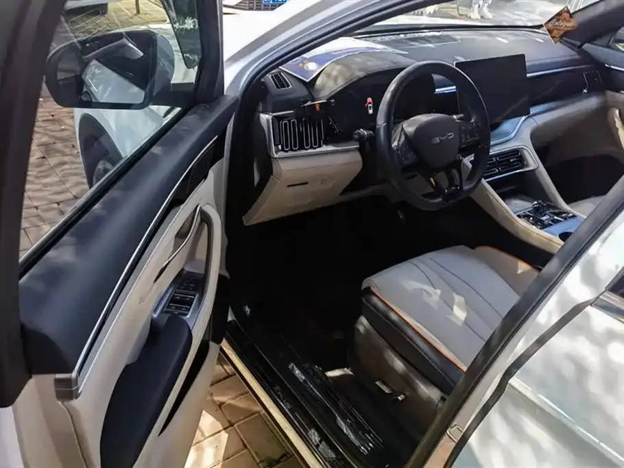BYD PLUS New Energy 2023 из CN, фото 10