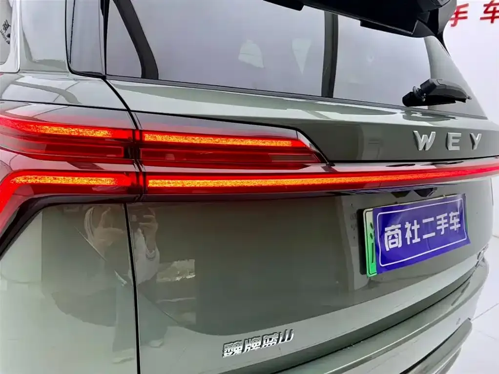 Wey Lanshan 2024 из CN, фото 6