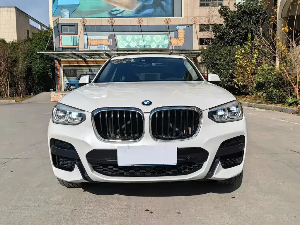 BMW X3 2021 из CN, фото 9