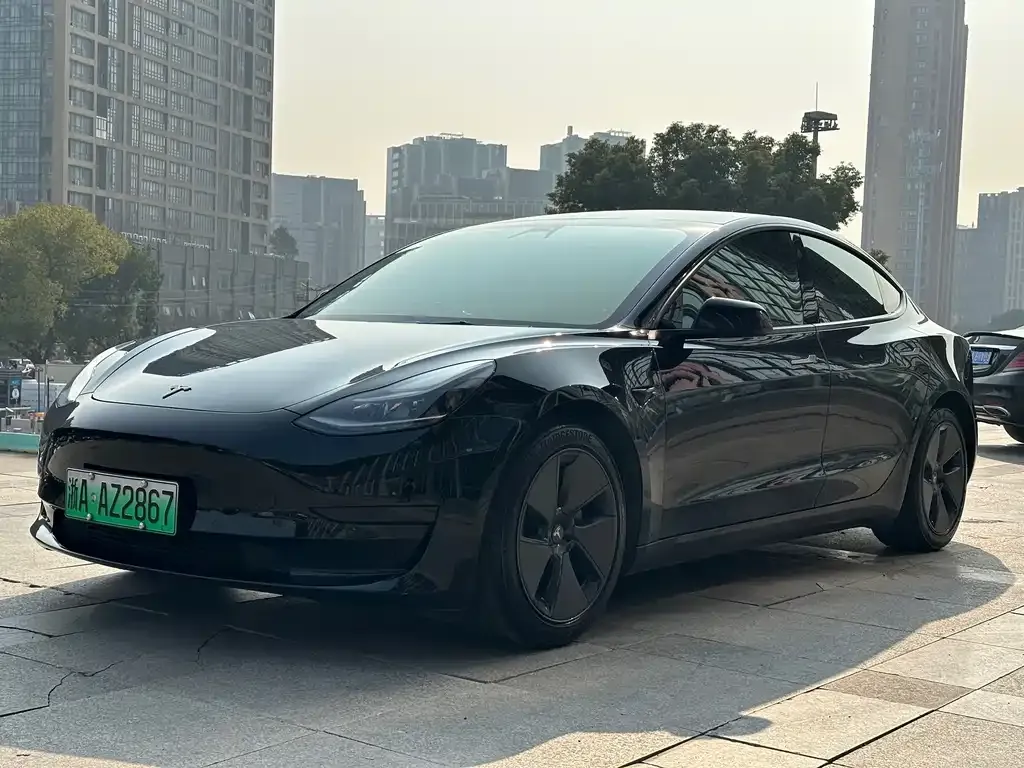 Tesla Model 3 2021 из CN, фото 1