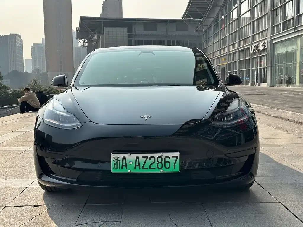 Tesla Model 3 2021 из CN, фото 2
