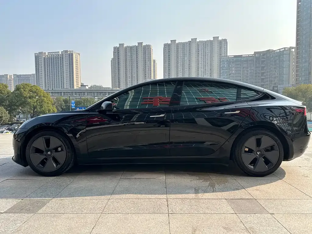 Tesla Model 3 2021 из CN, фото 6
