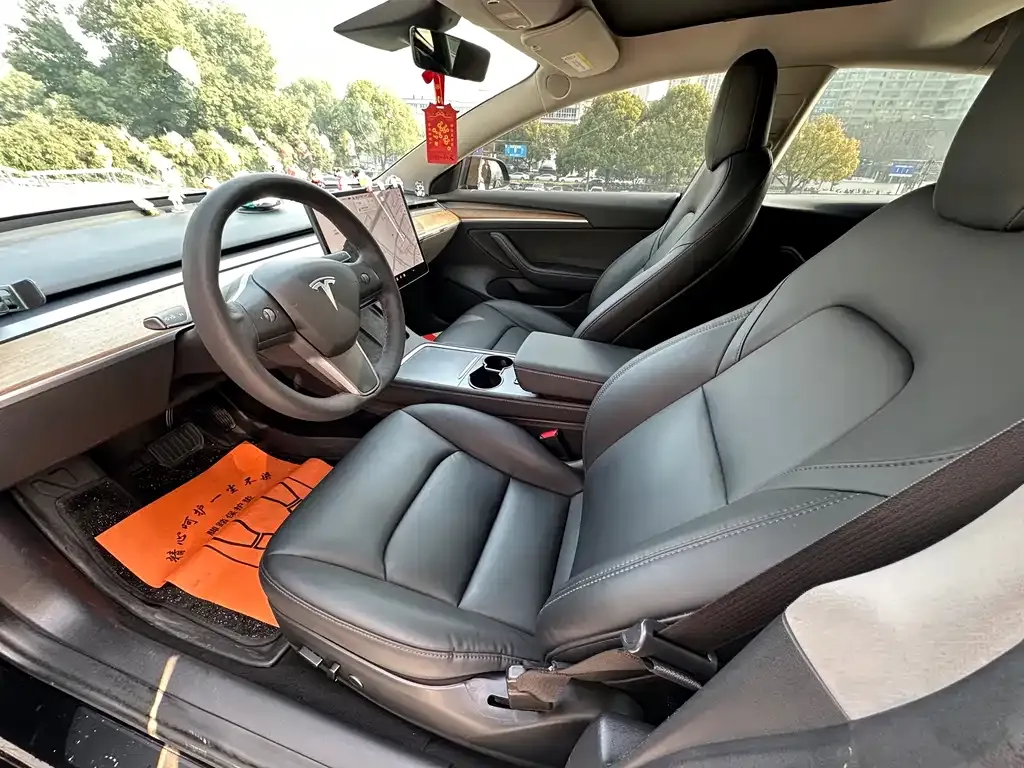 Tesla Model 3 2021 из CN, фото 9
