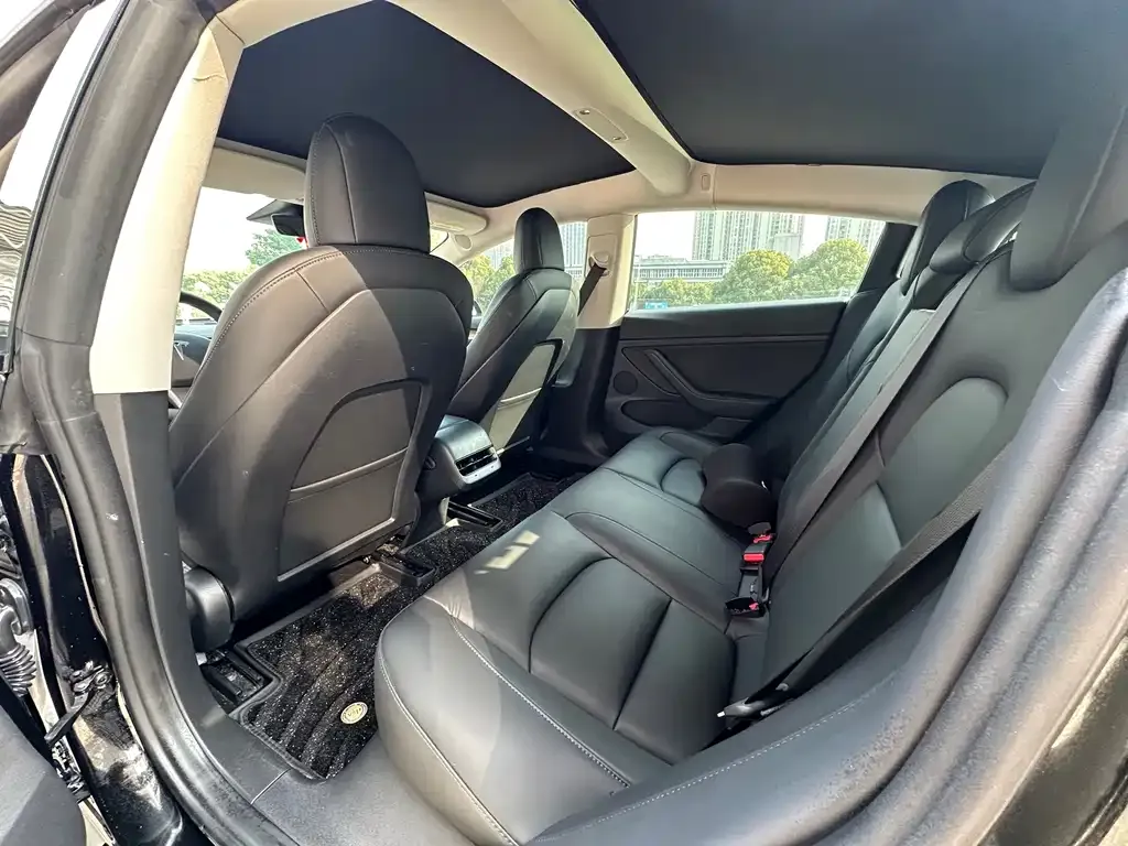 Tesla Model 3 2021 из CN, фото 4