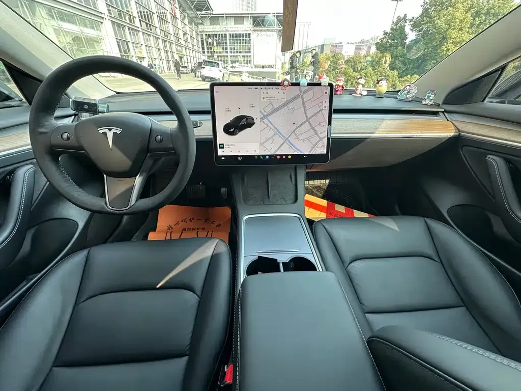 Tesla Model 3 2021 из CN, фото 5