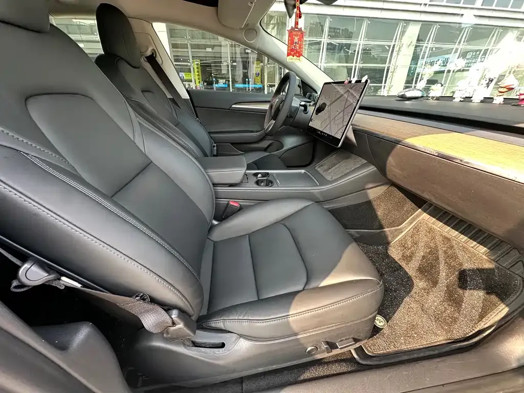 Tesla Model 3 2021 из CN, фото 3