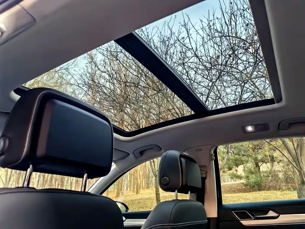 Volkswagen Magotan GTE PHEV 2022 из CN, фото 8