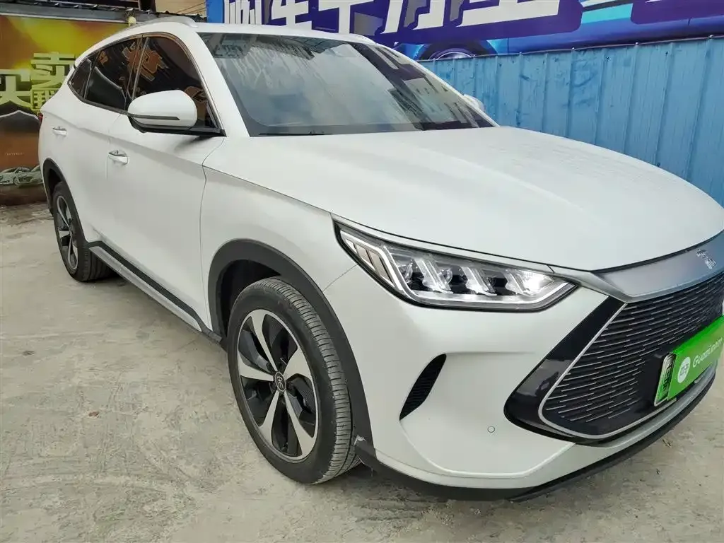 BYD Pro New Energy 2023 из CN, фото 3
