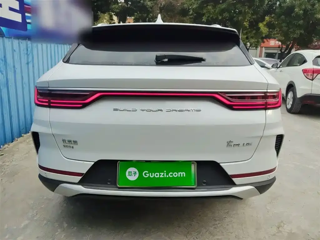 BYD Pro New Energy 2023 из CN, фото 10
