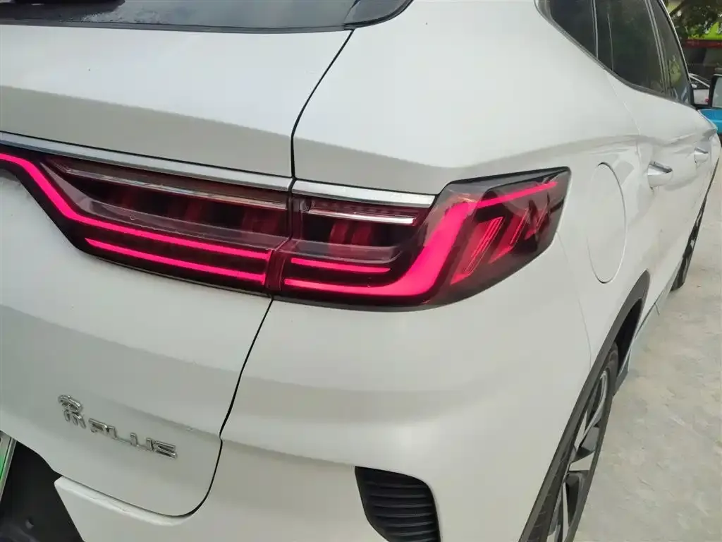 BYD Pro New Energy 2023 из CN, фото 2