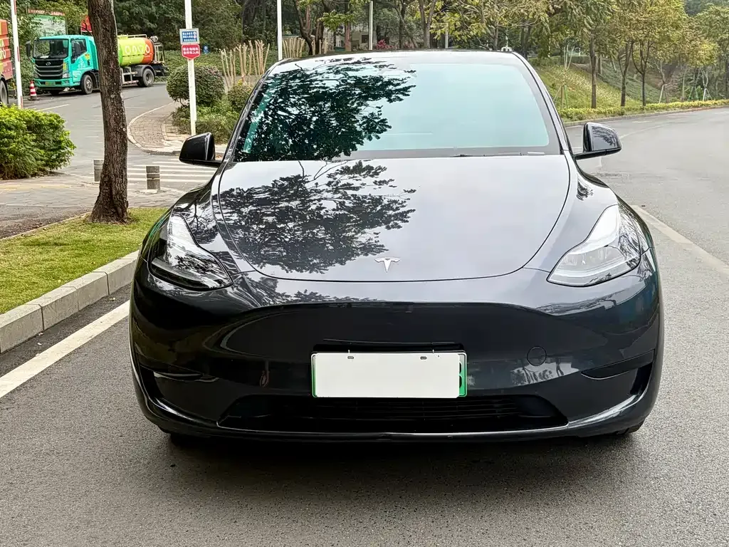 Tesla Model Y 2024 из CN, фото 5