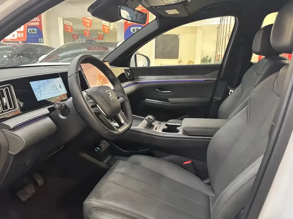 BYD Pro New Energy 2025 из CN, фото 8