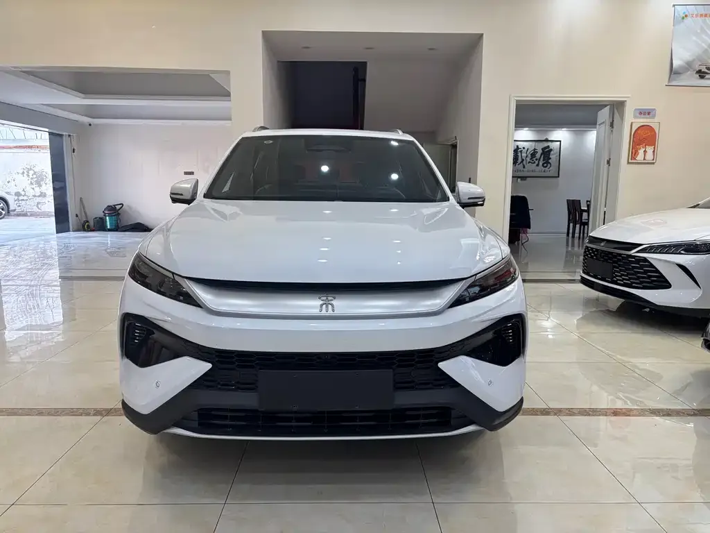 BYD Pro New Energy 2025 из CN, фото 5
