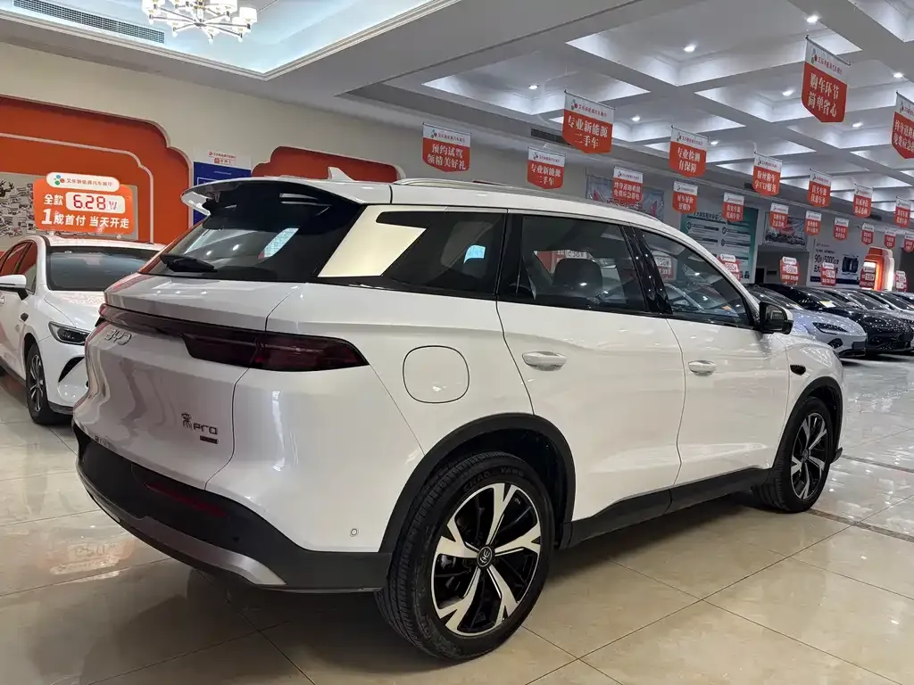 BYD Pro New Energy 2025 из CN, фото 7