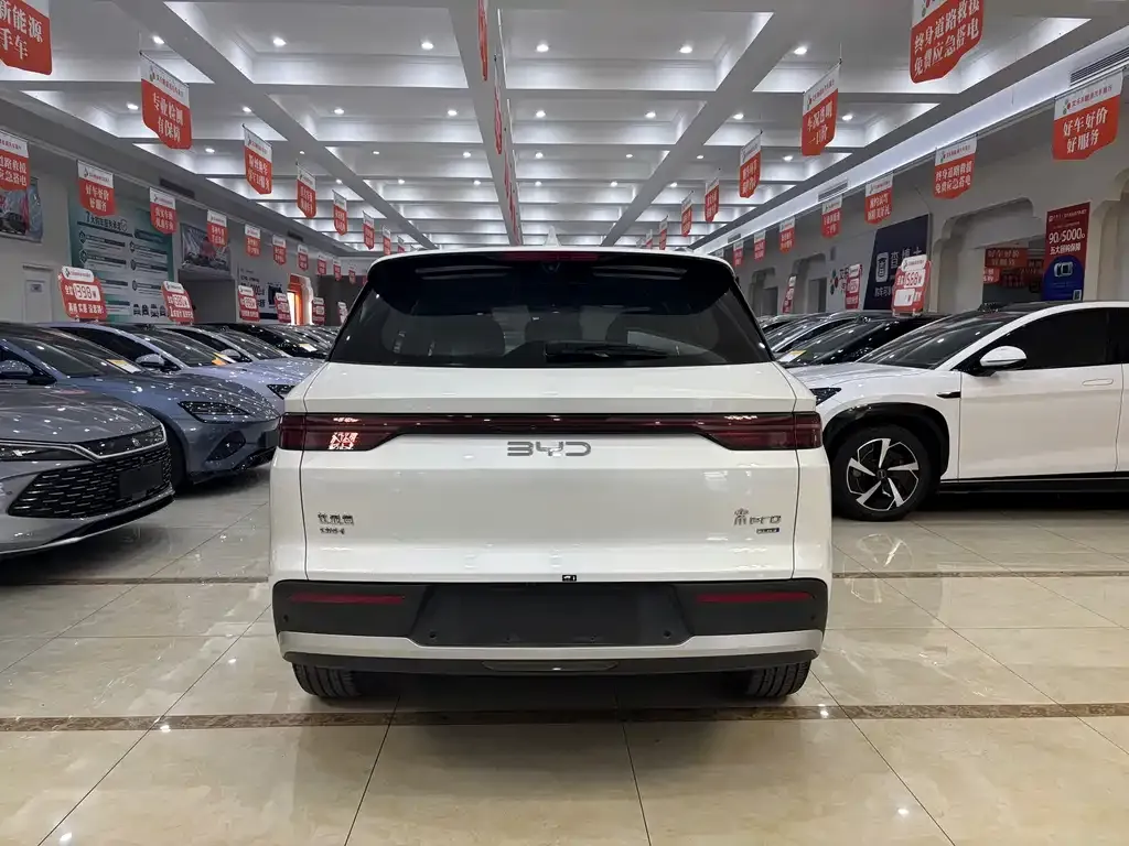 BYD Pro New Energy 2025 из CN, фото 9
