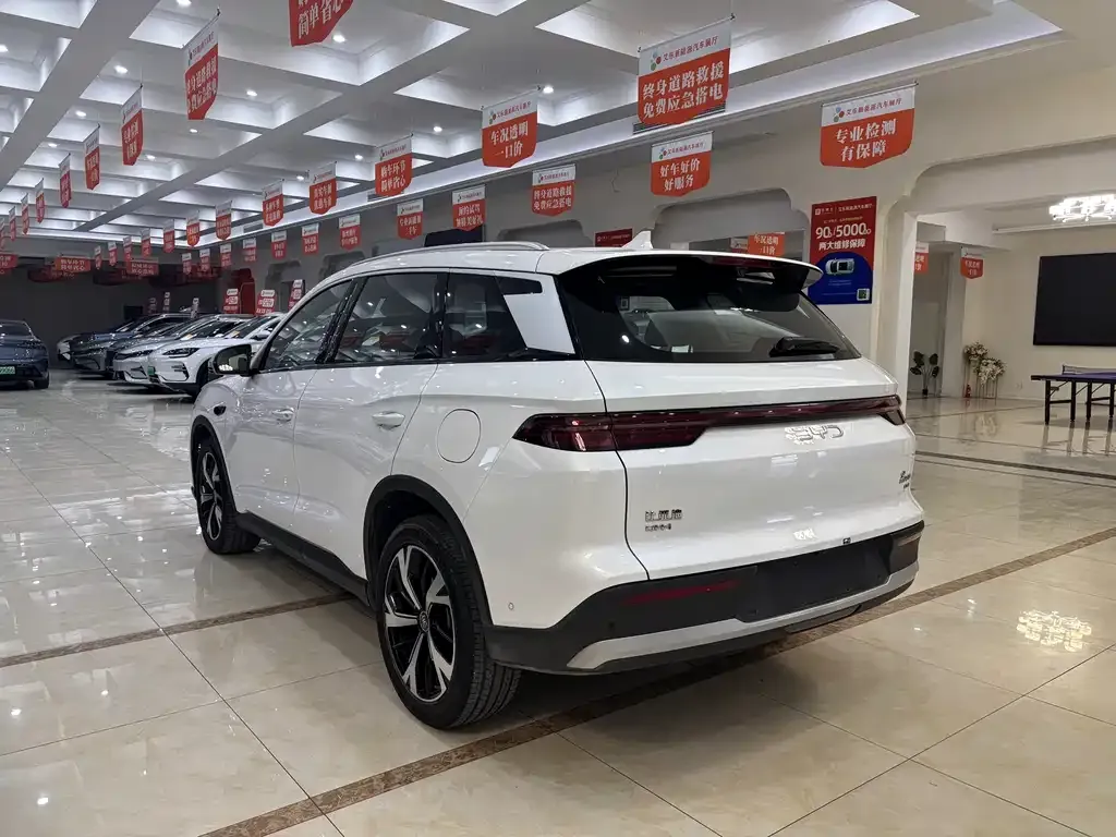 BYD Pro New Energy 2025 из CN, фото 6