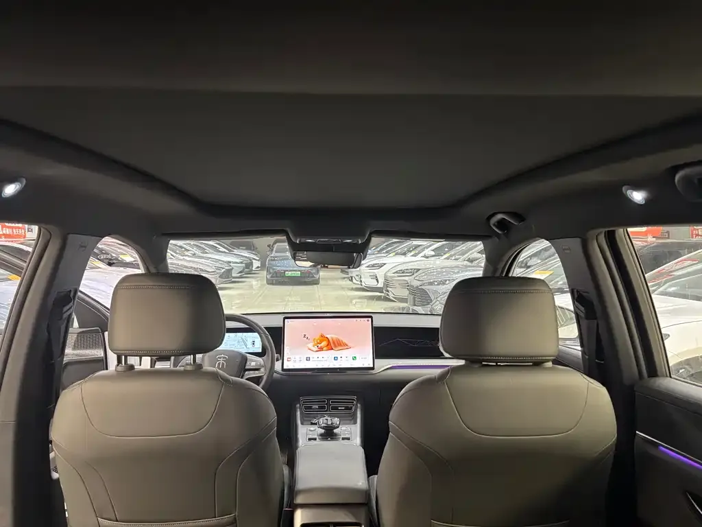 BYD Pro New Energy 2025 из CN, фото 10