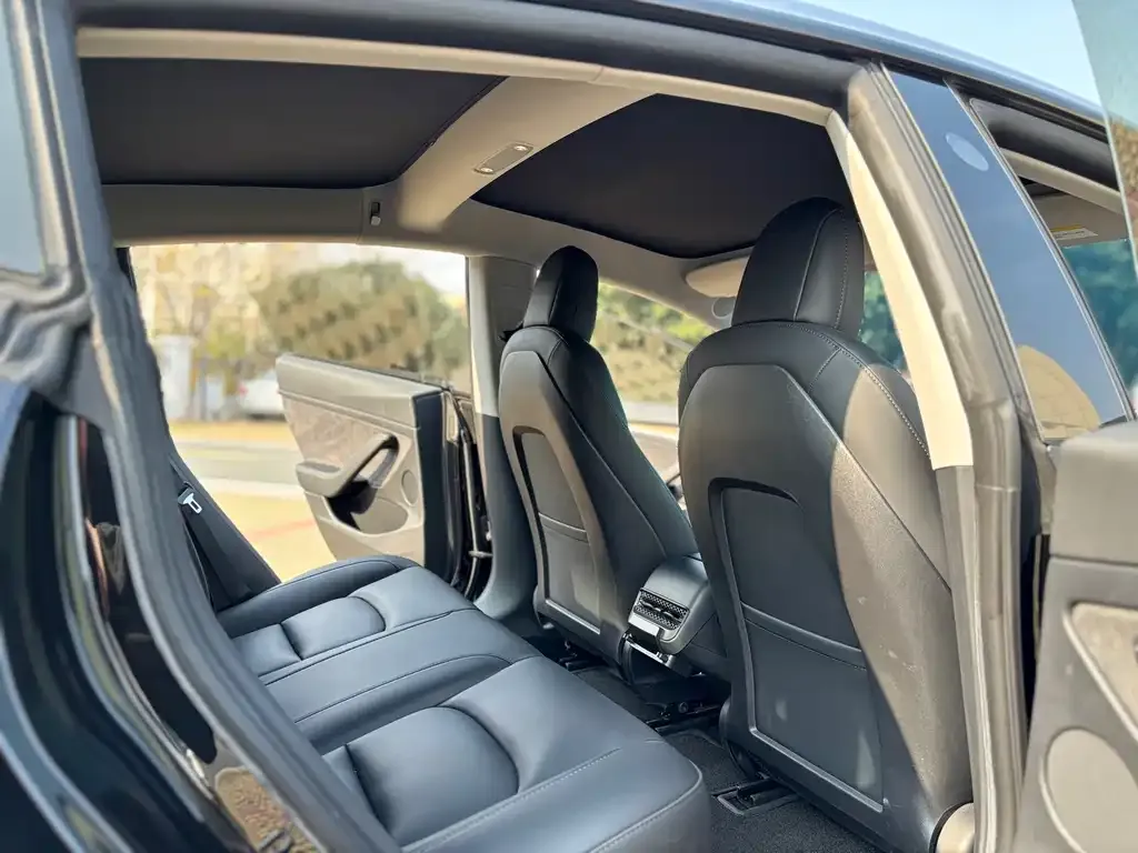Tesla Model 3 2022 из CN, фото 2