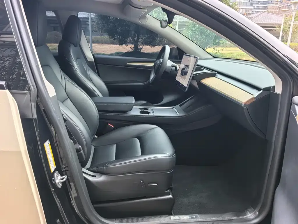 Tesla Model Y 2023 из CN, фото 6