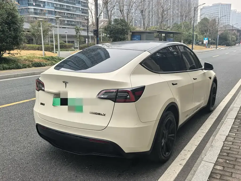 Tesla Model Y 2023 из CN, фото 8