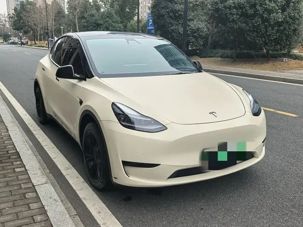 Tesla Model Y 2023 из CN, фото 2