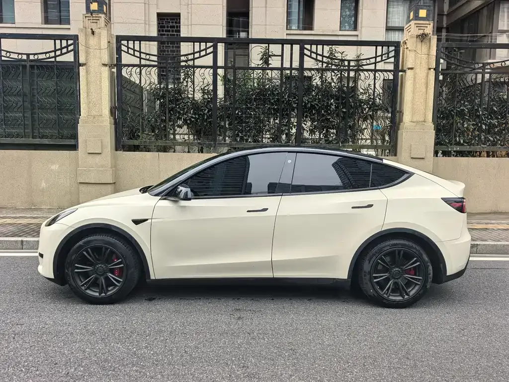 Tesla Model Y 2023 из CN, фото 3