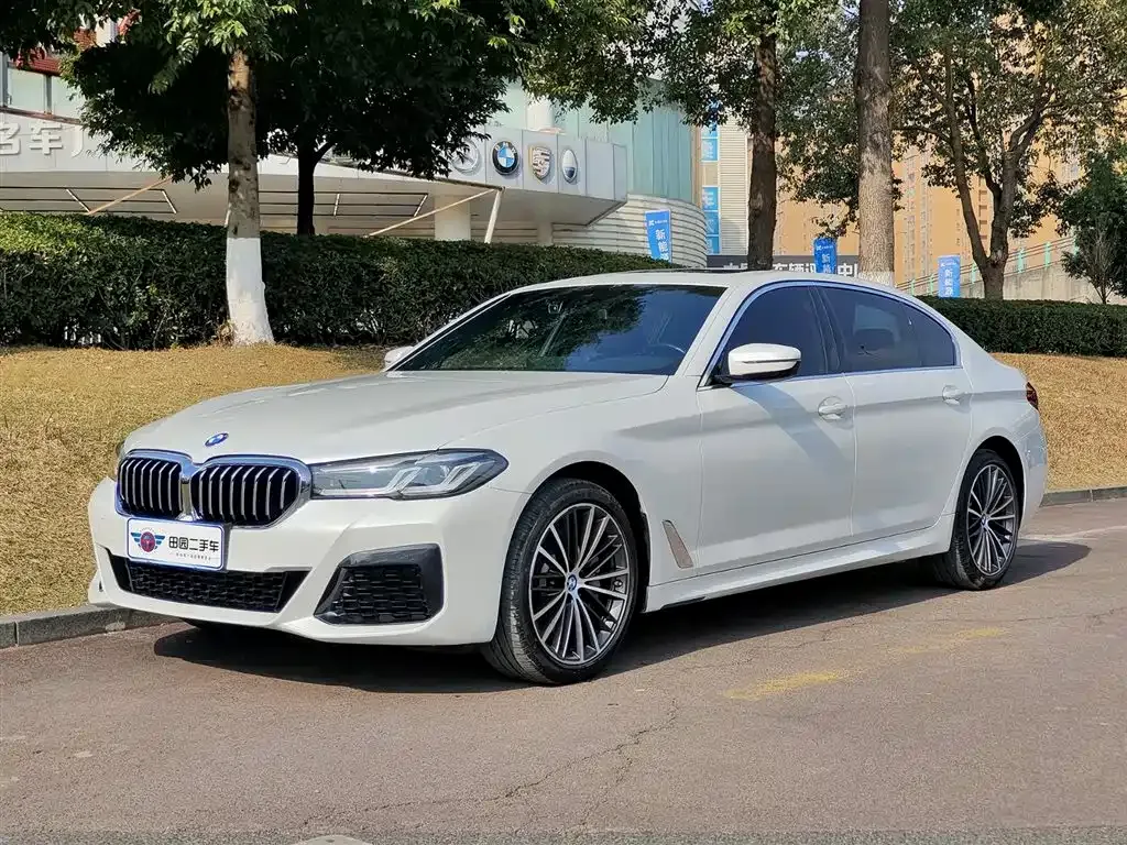 BMW 5 Series 2022 из CN, фото 1