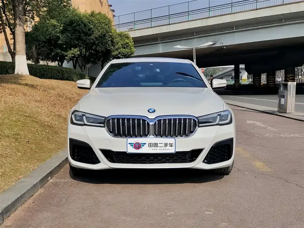 BMW 5 Series 2022 из CN, фото 10
