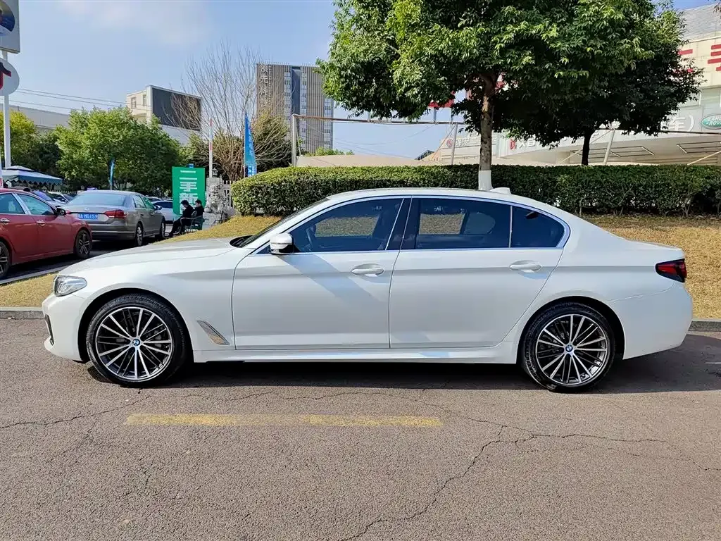 BMW 5 Series 2022 из CN, фото 6