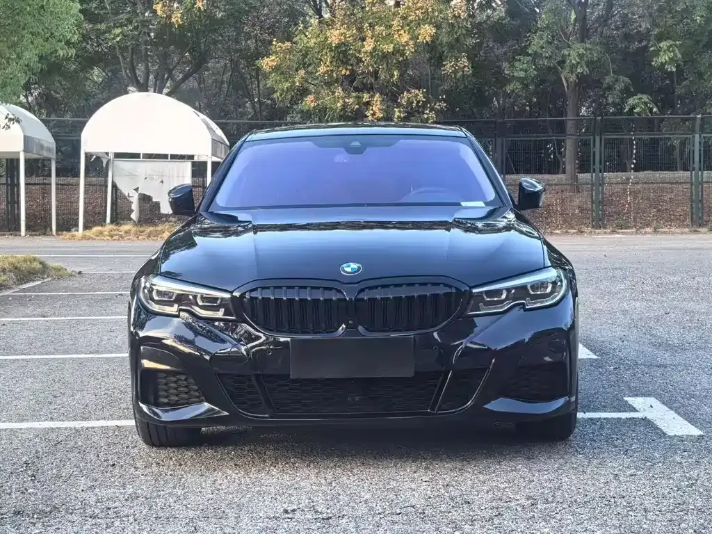BMW 3 Series 2022 из CN, фото 8