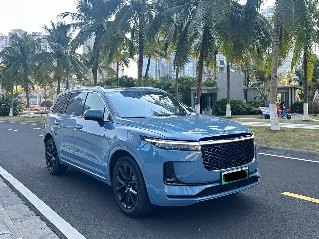 Li Auto ONE 2022 из CN, фото 5