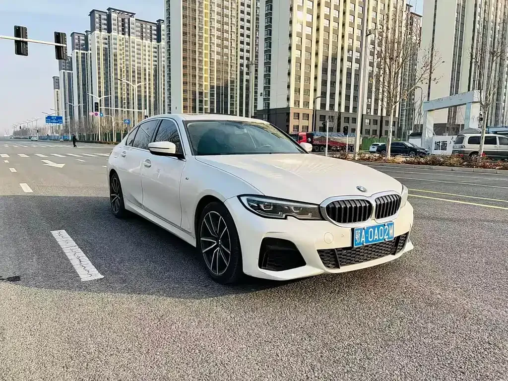 BMW 3 Series 2021 из CN, фото 9