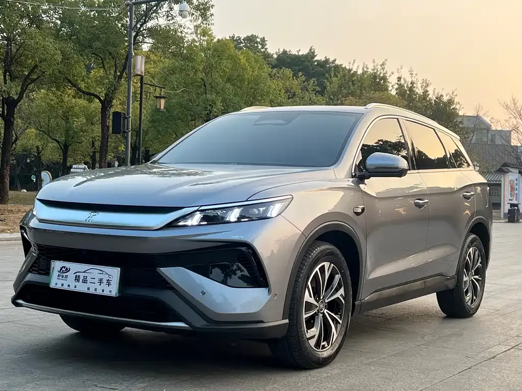 BYD Pro New Energy 2025 из CN, фото 1