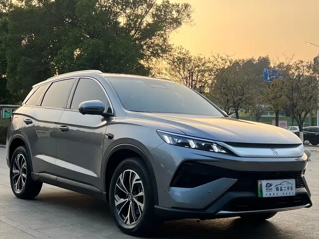 BYD Pro New Energy 2025 из CN, фото 6