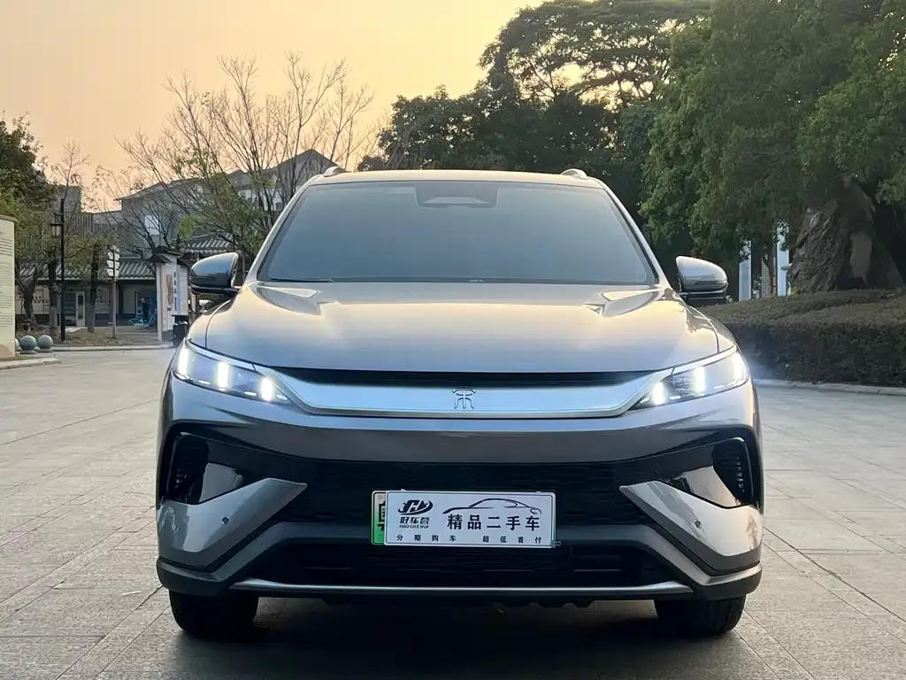 BYD Pro New Energy 2025 из CN, фото 8
