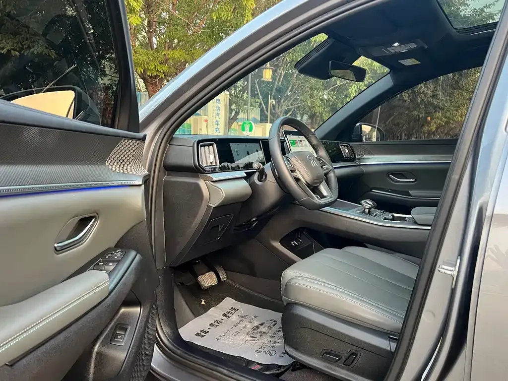 BYD Pro New Energy 2025 из CN, фото 10