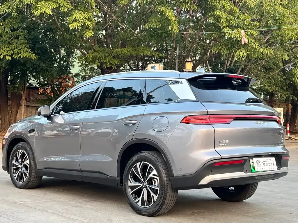BYD Pro New Energy 2025 из CN, фото 4