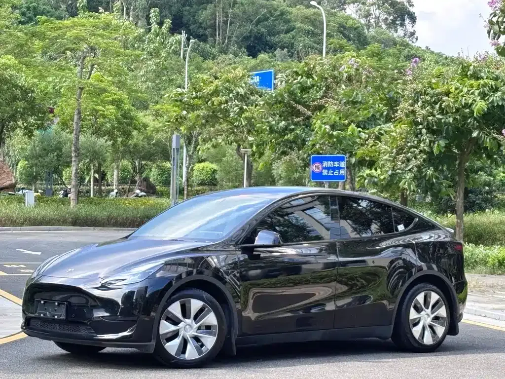 Tesla Model Y 2023 из CN, фото 8