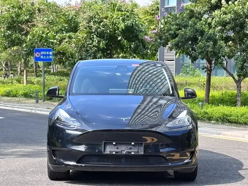 Tesla Model Y 2023 из CN, фото 4