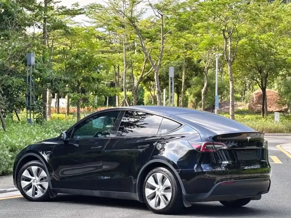 Tesla Model Y 2023 из CN, фото 6