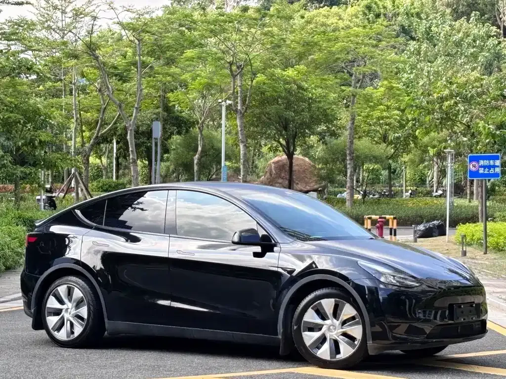 Tesla Model Y 2023 из CN, фото 9