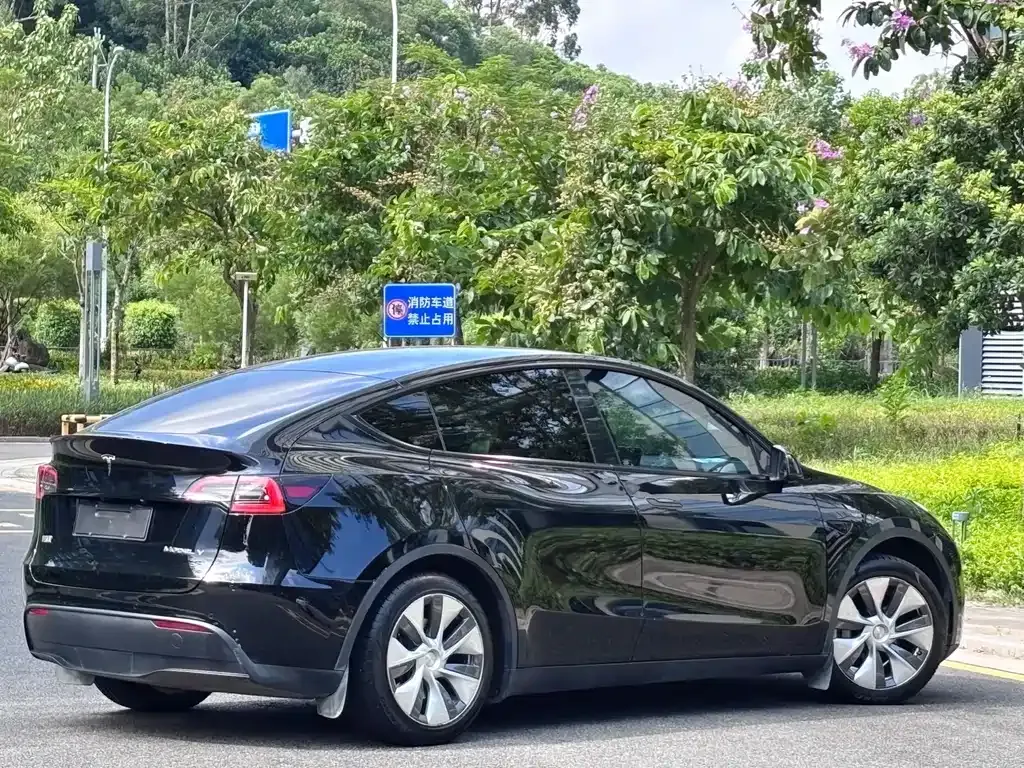 Tesla Model Y 2023 из CN, фото 10