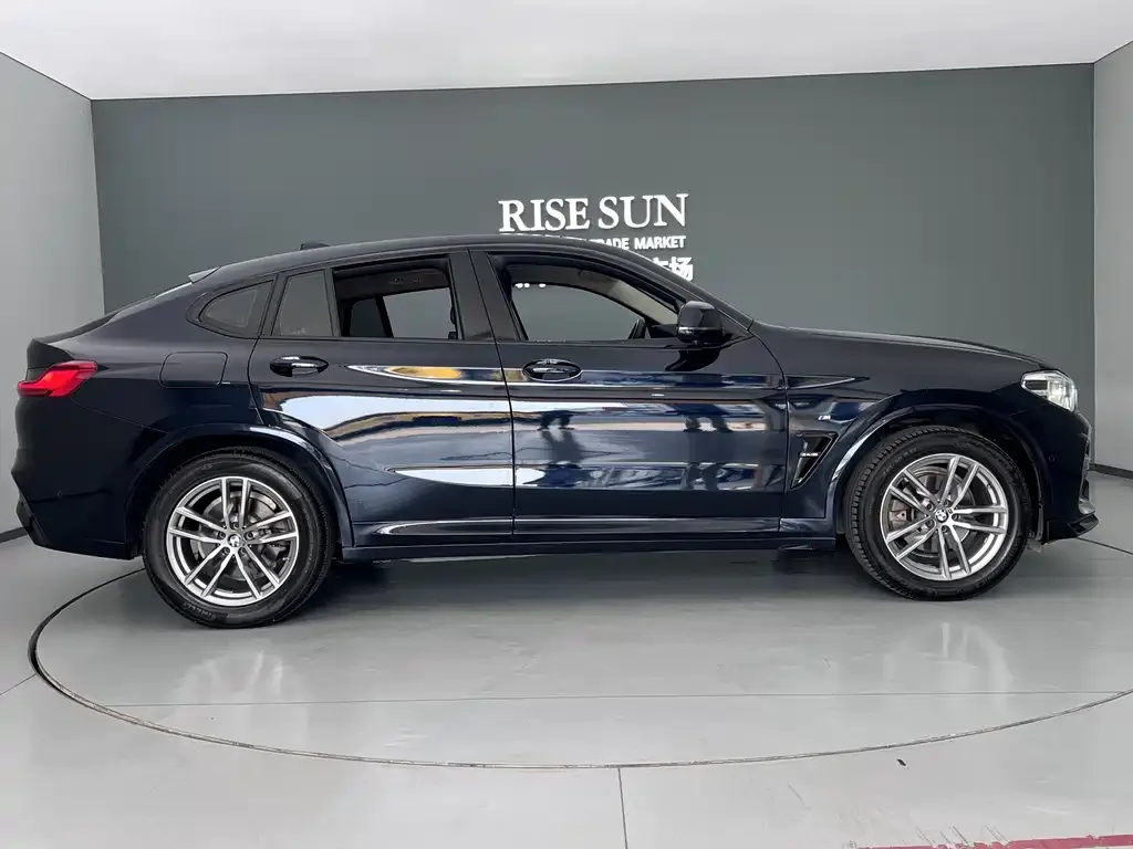 BMW X4 2021 из CN, фото 4