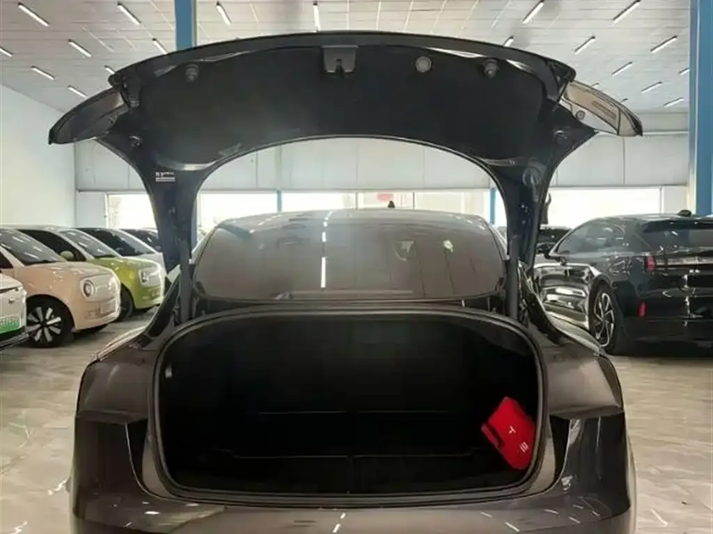 Tesla Model 3 2025 из CN, фото 3