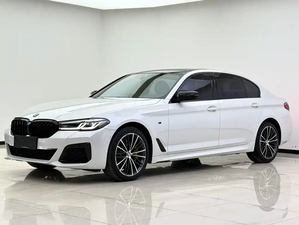 BMW 5 Series 2021 из CN, фото 1
