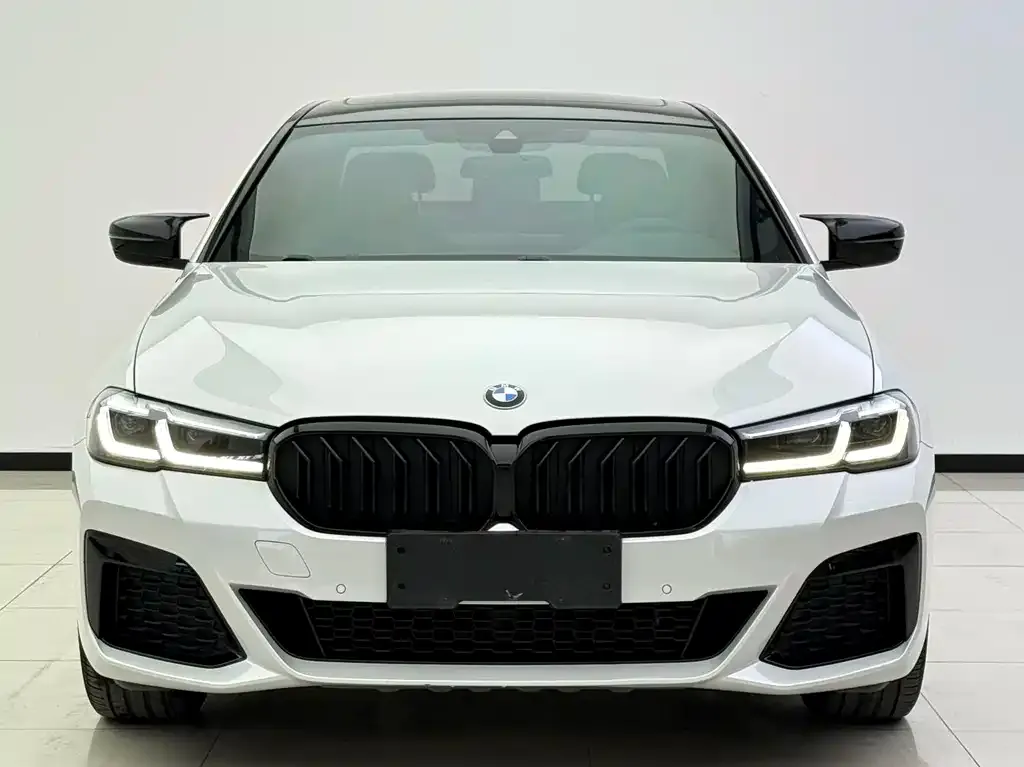 BMW 5 Series 2021 из CN, фото 4