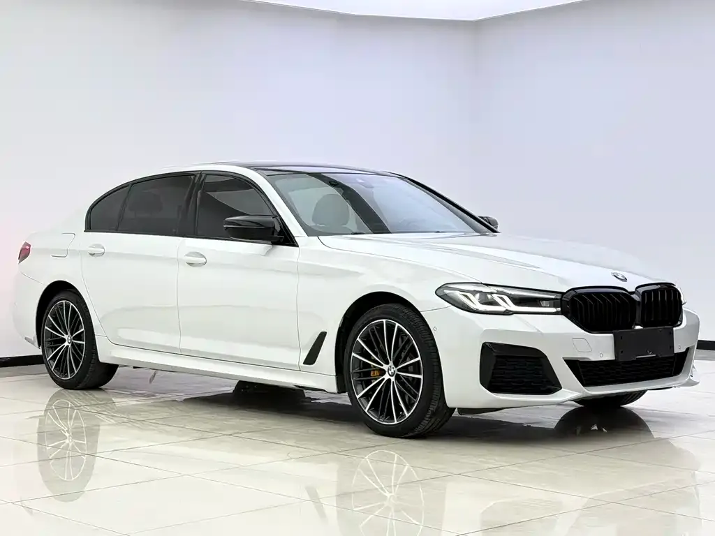 BMW 5 Series 2021 из CN, фото 7