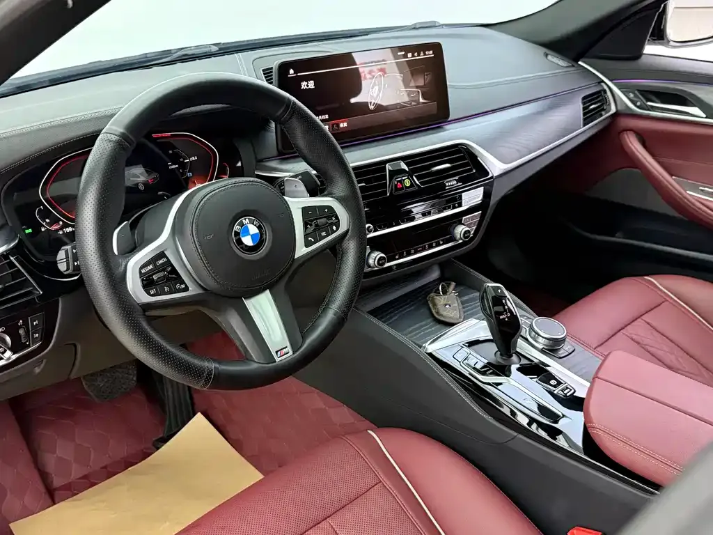 BMW 5 Series 2021 из CN, фото 5