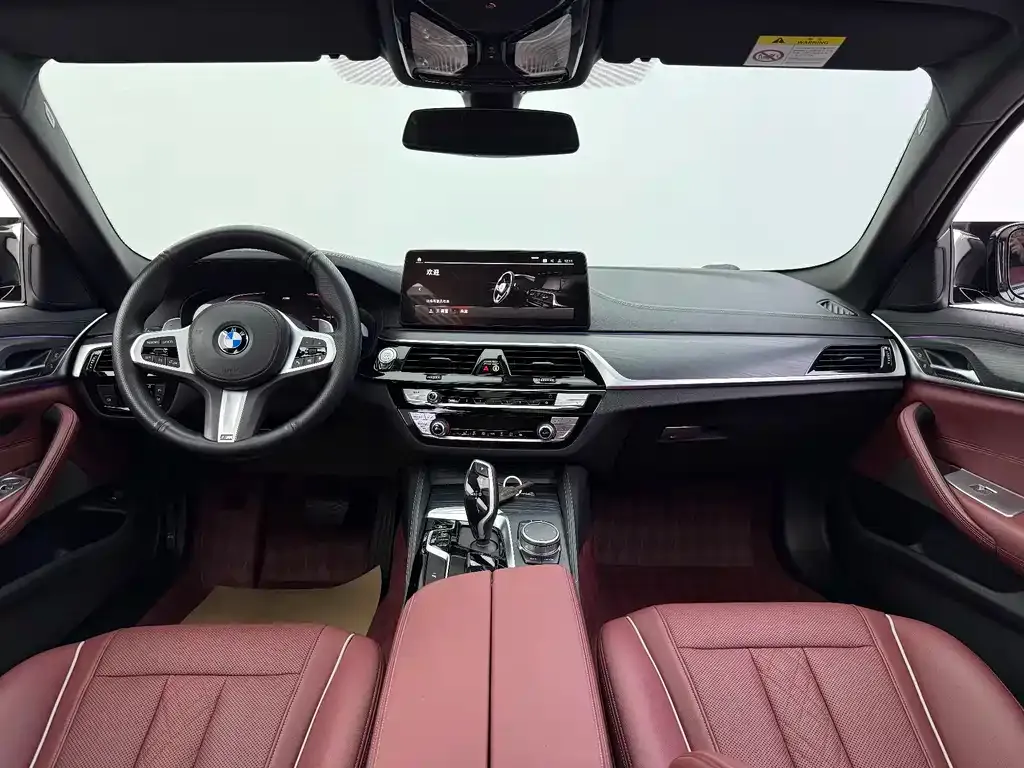 BMW 5 Series 2021 из CN, фото 6