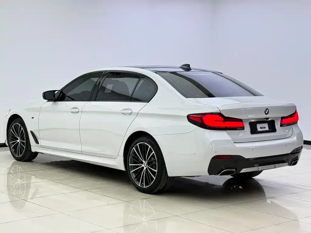 BMW 5 Series 2021 из CN, фото 8